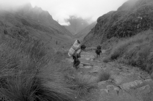  Camino del Inca, Peru, 2012